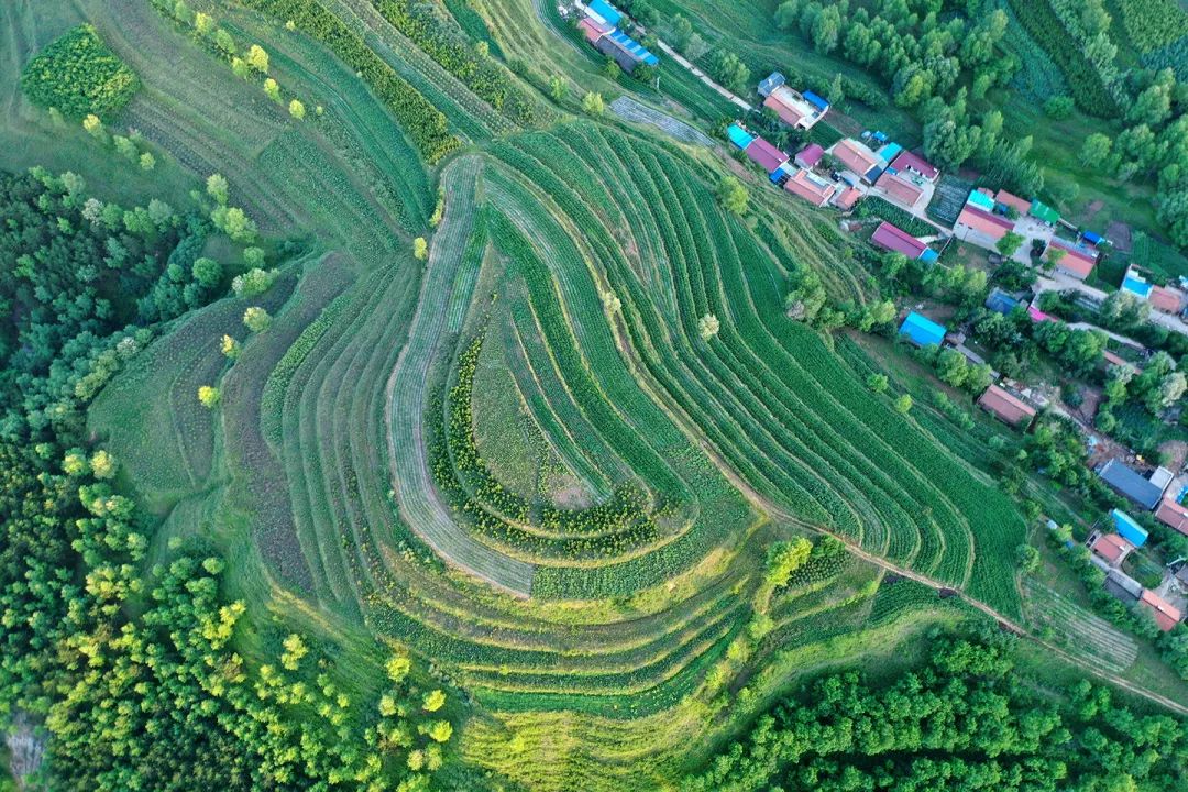 生態(tài)系統(tǒng)健康和管理——加強(qiáng)生態(tài)技術(shù)和工程管理，促進(jìn)生態(tài)系統(tǒng)健康發(fā)展